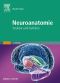 Neuroanatomie - Struktur und Funktion