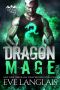 Dragon Mage: Dragon Point Seven