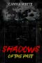 Shadows of the Past · (Mystery, Thriller & Suspense, Thriller, Action, Mystery)