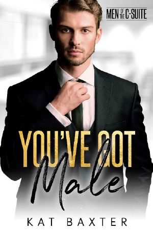 You've Got Male: A Frenemies-to-lovers Curvy Girl Romance (Men of the C-Suite Book 1)