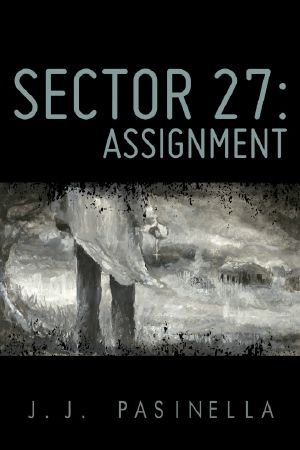 Sector 27 · Assignment