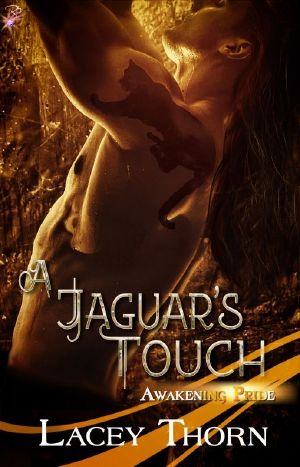 A Jaguars Touch