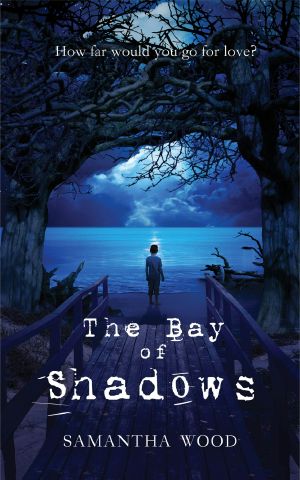 The Bay of Shadows