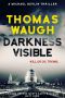 Darkness Visible (Michael Devlin Thriller Book 2)