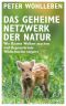 Das geheime Netzwerk der Natur · Wie Bäume Wolken machen und Regenwürmer Wildschweine steuern