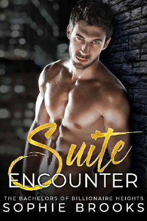 Suite Encounter: A Standalone Steamy Billionaire Romance