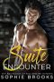 Suite Encounter: A Standalone Steamy Billionaire Romance