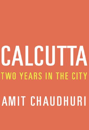 Calcutta · Two Years in the City