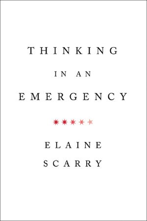 Thinking in an Emergency (Norton Global Ethics Series)