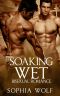 BISEXUAL ROMANCE · Soaking Wet (Threesome, MMF Bisexual Threesome, Gay Romance, Menage)