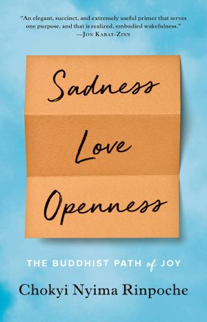 Sadness, Love, Openness, The Buddhist Path of Joy