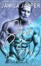 Silver Fox_BWWM Romance Novel