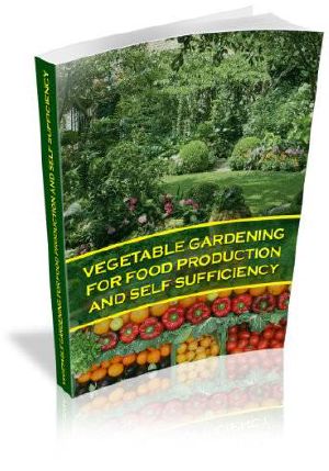 Vegetable Gardening for Food Production and Self Sufficiency