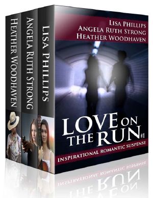 Team Love on the Run · Box Set 1-3