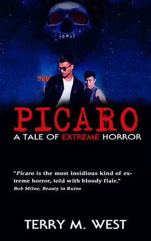 Picaro · A Tale of EXTREME Horror