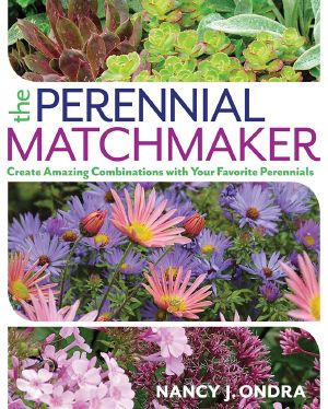 The Perennial Matchmaker