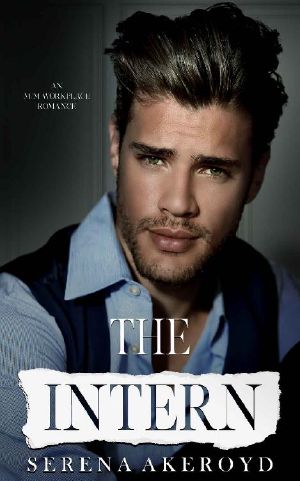 The Intern · an MM Workplace Standalone Romance