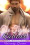 The Tiger's Rabbit · M/M MPREG Paranormal Tiger Shifter Romance