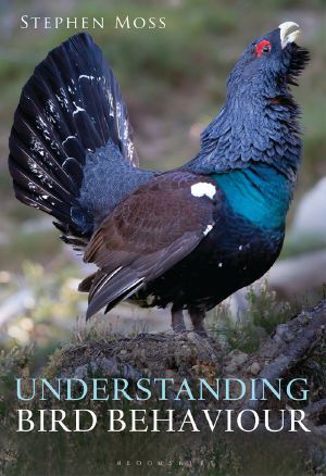 Understanding Bird Behaviour