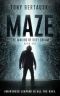 Maze_The Waking of Grey Grimm