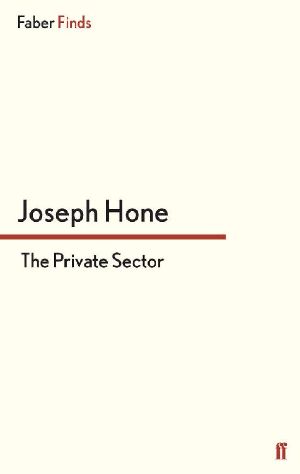 The Private Sector (A Peter Marlow Spy Thriller)