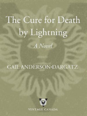 The Cure for Death by Lightning