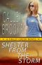 Shelter from the Storm (Finley Creek Book 2)