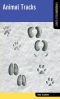 Animal Tracks