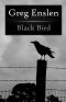 Black Bird