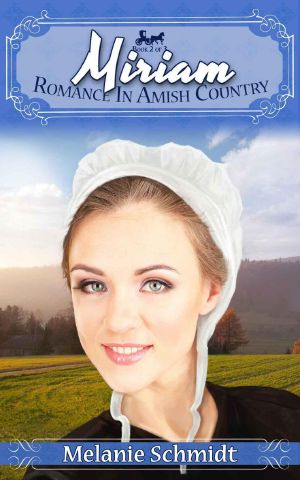 Miriam's Story · Part 2 Romance in Amish Country