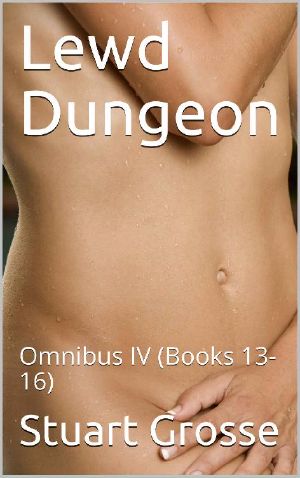 Lewd Dungeon: Omnibus IV (Books 13-16)