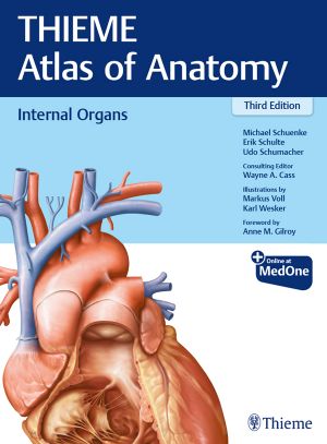 Internal Organs (9781626237216)