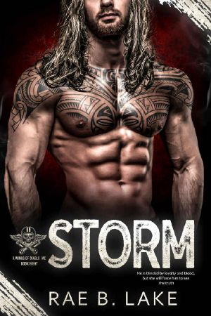 Storm: A Wings of Diablo MC Novel