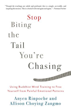 Stop Biting the Tail You're Chasing, Using Buddhist Mind Training to Free Yourself from Painful Emotional Patterns