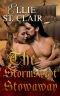 The Stormswept Stowaway · A Pirate Romance