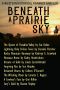 Beneath a Prairie Sky