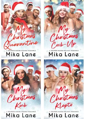 Naughty Christmas Nights: 4 Contemporary Reverse Harem Romances