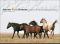 Among Wild Horses