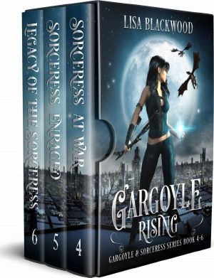 Gargoyle Rising · Box Set 4-6