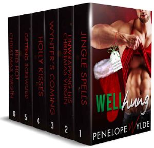 Well Hung: Forbidden Romance Christmas Boxset