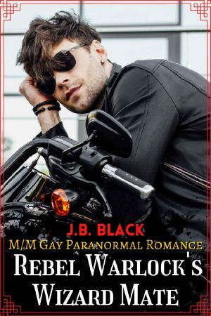 Rebel Warlock's Wizard Mate · M/M Gay Fantasy Romance