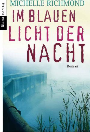 Im blauen Licht der Nacht