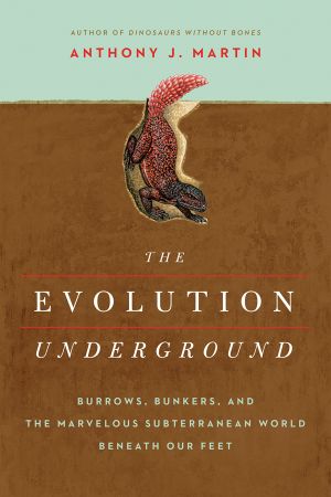 The Evolution Underground