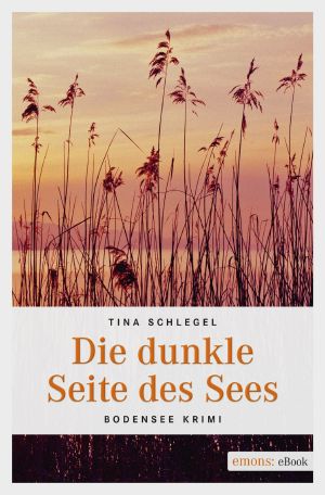 Die dunkle Seite des Sees · Bodensee Krimi