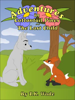 Adventures in Cottontail Pines · The Lost Child