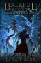 Baleful Signs (Dagger of the World Book 3)