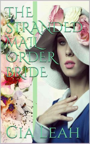 The Stranded Mail Order Bride