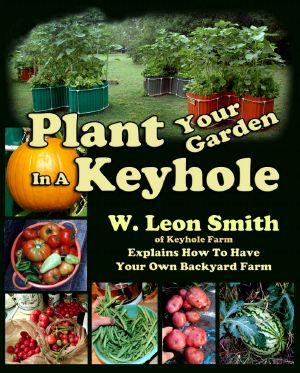 Plant Your Garden In A Keyhole