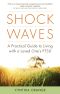 Shock Waves