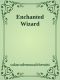 Enchanted Wizard